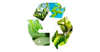 eco7